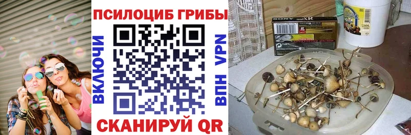 Галлюциногенные грибы Magic Shrooms  Пласт 